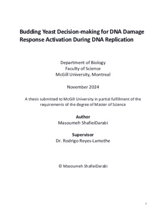 Budding yeast decision-making for DNA Damage Response activation during DNA replication thumbnail