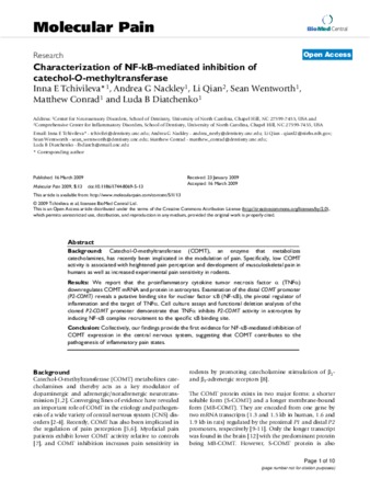 Characterization of NF-Kb-Mediated Inhibition of Catechol-O-Methyltransferase thumbnail