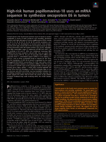 High-risk human papillomavirus-18 uses an mRNA sequence to synthesize oncoprotein E6 in tumors thumbnail