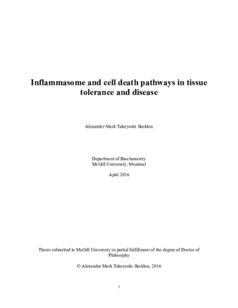Inflammasome and cell death pathways in tissue tolerance and disease thumbnail