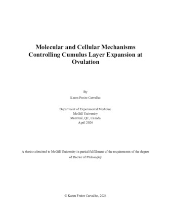 Molecular and Cellular Mechanisms Controlling Cumulus Layer Expansion at Ovulation thumbnail