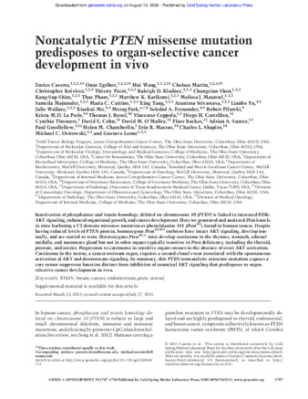 Noncatalytic PTEN missense mutation predisposes to organ-selective cancer development in vivo thumbnail