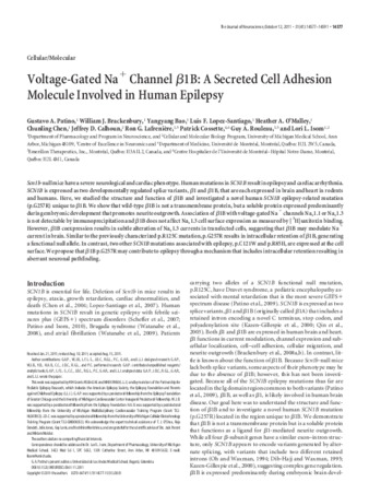 Voltage-Gated Na+ Channel β1B: A Secreted Cell Adhesion Molecule Involved in Human Epilepsy thumbnail