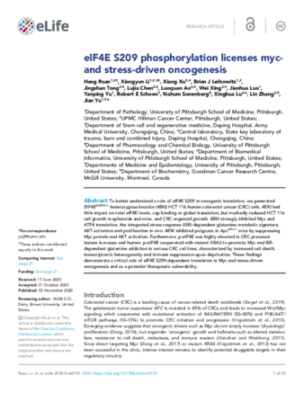 eIF4E S209 phosphorylation licenses myc- and stress-driven oncogenesis thumbnail
