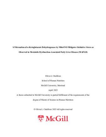 S-Nitrosation of α-Ketoglutarate Dehydrogenase by MitoSNO mitigates oxidative stress as observed in Metabolic Dysfunction-Associated Fatty Liver Disease (MAFLD) thumbnail
