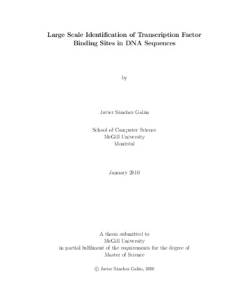 Large scale identification of transcription factor binding sites in DNA sequences thumbnail