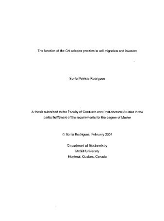 The function of the Crk adapter proteins in cell migration and invasion / thumbnail