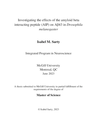 Investigating the effects of the amyloid beta interacting peptide (AIP) on Aβ43 in Drosophila melanogaster thumbnail
