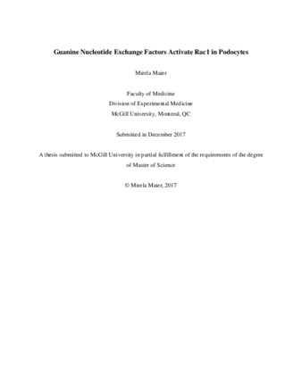 Guanine nucleotide exchange factors activate Rac1 in podocytes thumbnail