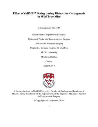 Effect of rhBMP-7 dosing during distraction osteogenesis in wild type mice thumbnail