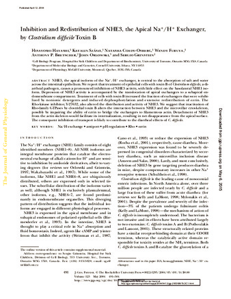 Inhibition and redistribution of NHE3, the apical Na+/H+ exchanger, by Clostridium difficile toxin B thumbnail