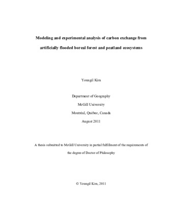 Modeling and experimental analysis of carbon exchange from artificially flooded forest and peatland ecosystems thumbnail