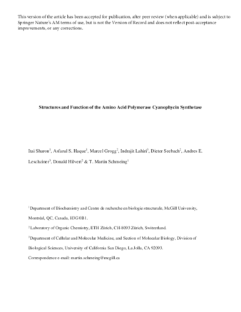 Structures and function of the amino acid polymerase cyanophycin synthetase thumbnail