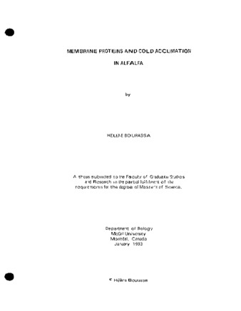 Membrane proteins and cold acclimation in alfalfa thumbnail