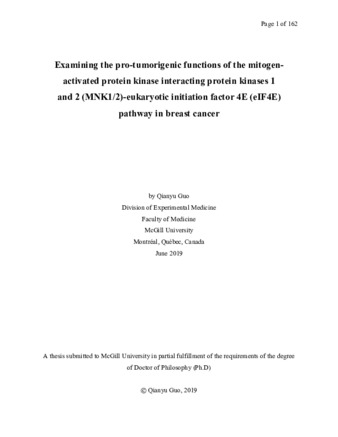 Examining the pro-tumorigenic functions of the mitogen-activated protein kinase interacting protein kinases 1 and 2 (MNK1/2)-eukaryotic initiation factor 4E (eIF4E) pathway in breast cancer thumbnail