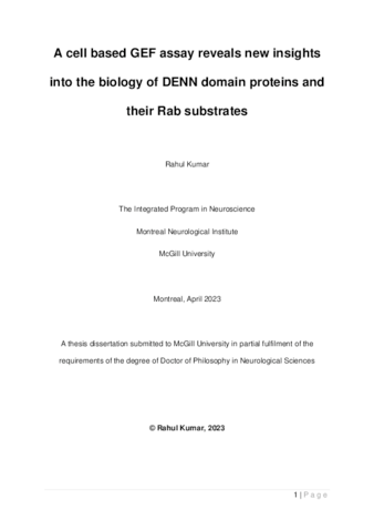 A cell-based GEF assay reveals new insights into the biology of DENN domains and their Rab substrates thumbnail