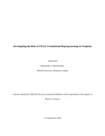 Investigating the role of CK2 in translational reprogramming in neoplasia thumbnail