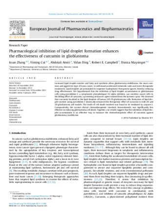 Pharmacological inhibition of lipid droplet formation enhances the effectiveness of curcumin in glioblastoma thumbnail