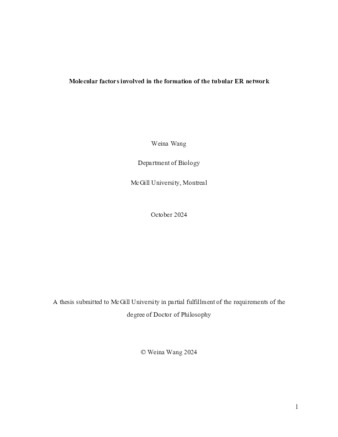 Molecular factors involved in the formation of the tubular ER network thumbnail