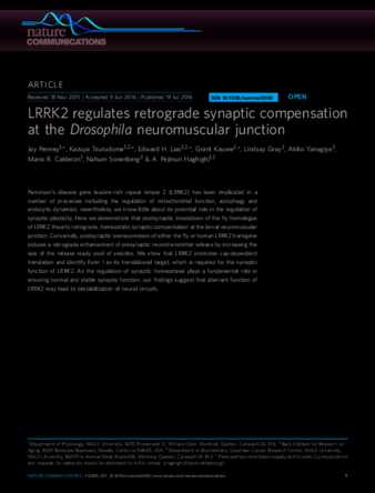 LRRK2 regulates retrograde synaptic compensation at the Drosophila neuromuscular junction thumbnail