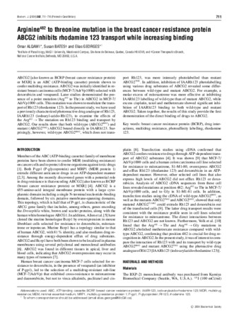 Arginine482 to threonine mutation in the breast cancer resistance protein ABCG2 inhibits rhodamine 123 transport while increasing binding thumbnail