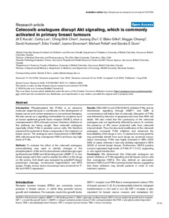 Celecoxib analogues disrupt Akt signaling, which is commonly activated in primary breast tumours thumbnail