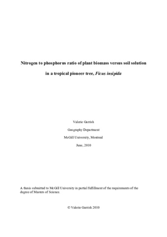 Nitrogen to phosphorus ratio of plant biomass versus soil solution in a tropical pioneer tree, «Ficus insipida» thumbnail