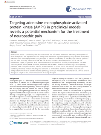 Targeting Adenosine Monophosphate-Activated Protein Kinase (AMPK) in Preclinical Models Reveals a Potential Mechanism for the Treatment of Neuropathic Pain thumbnail