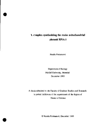 A complex synthesizing the maize mitochondrial plasmid RNA b / thumbnail