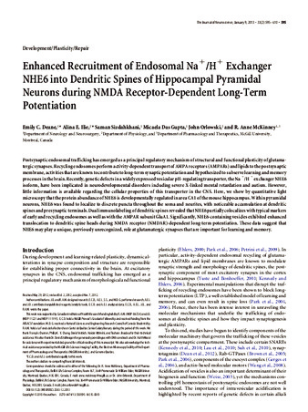 Enhanced Recruitment of Endosomal Na+/H+ Exchanger NHE6 into Dendritic Spines of Hippocampal Pyramidal Neurons during NMDA Receptor-Dependent Long-Term Potentiation thumbnail