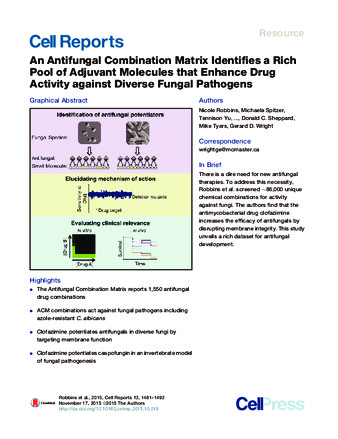 An Antifungal Combination Matrix Identifies a Rich Pool of Adjuvant Molecules that Enhance Drug Activity against Diverse Fungal Pathogens thumbnail