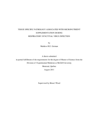 Tissue specific pathology associated with micronutrient supplementation during respiratory syncytial virus infection thumbnail