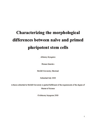 Characterizing the morphological differences between naïve and primed pluripotent stem cells thumbnail