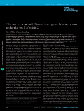 The mechanics of miRNA-mediated gene silencing: a look under the hood of miRISC thumbnail