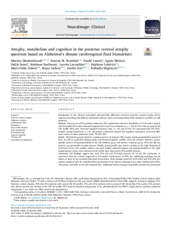 Atrophy, metabolism and cognition in the posterior cortical atrophy spectrum based on Alzheimer's disease cerebrospinal fluid biomarkers thumbnail