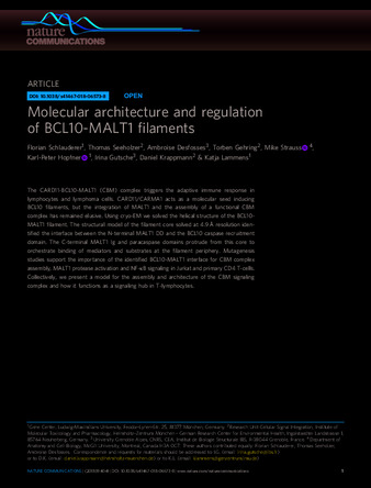 Molecular architecture and regulation of BCL10-MALT1 filaments thumbnail