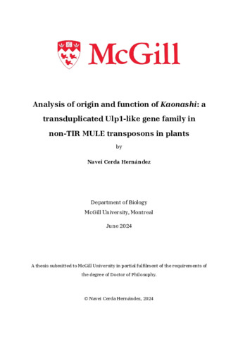 Analysis of origin and function of Kaonashi: a transduplicated Ulp1-like gene family in non-TIR MULE transposons in plants thumbnail