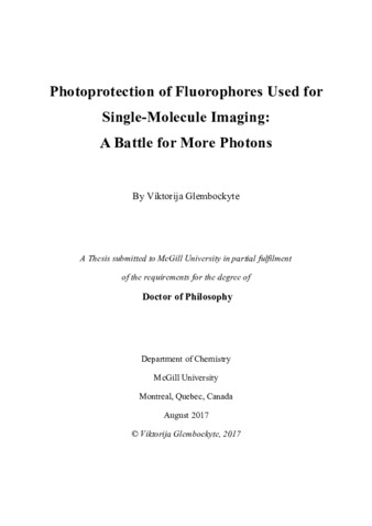 Photoprotection of Fluorophores used for single-molecule imaging: a battle for more photons thumbnail