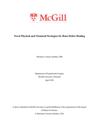 Novel physical and chemical strategies for bone defect healing thumbnail