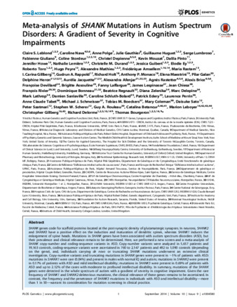 Meta-analysis of SHANK Mutations in Autism Spectrum Disorders: A Gradient of Severity in Cognitive Impairments thumbnail