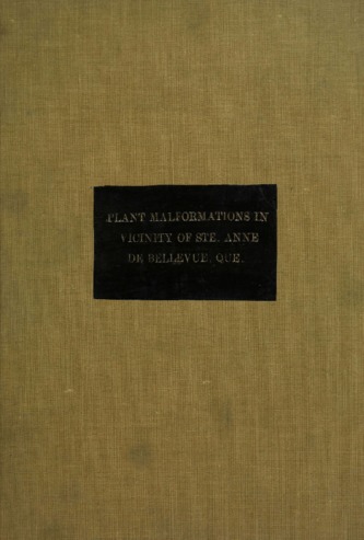 An investigation into the nature and cause of certain plant malformations observed in the vicinity of Ste Anne de Bellvue, Que. thumbnail