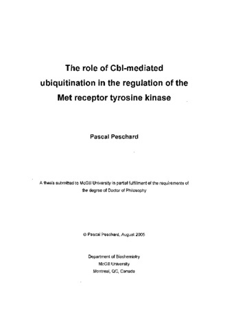 The role of Cbl-mediated ubiquitination in the regulation of the Met receptor tyrosine kinase / thumbnail