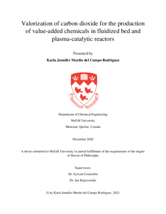 Valorization of carbon dioxide for the production of value-added chemicals in fluidized bed and plasma-catalytic reactors thumbnail