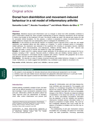 Dorsal horn disinhibition and movement-induced behaviour in a rat model of inflammatory arthritis thumbnail