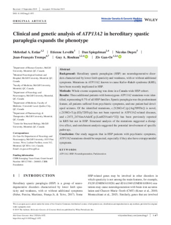 Clinical and genetic analysis of ATP13A2 in hereditary spastic paraplegia expands the phenotype thumbnail