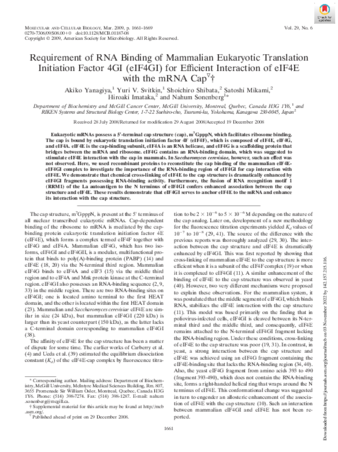 Requirement of RNA Binding of Mammalian Eukaryotic Translation Initiation Factor 4GI (eIF4GI) for Efficient Interaction of eIF4E with the mRNA Cap thumbnail