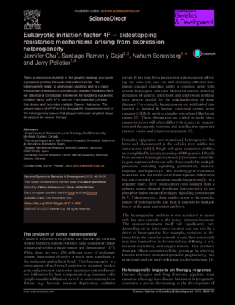 Eukaryotic initiation factor 4F — sidestepping resistance mechanisms arising from expression heterogeneity thumbnail