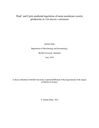 PmrC and CptA-mediated regulation of outer membrane vesicle production in «Citrobacter rodentium» thumbnail