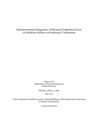 Mechanobiological regulation of placental trophoblast fusion via substrate stiffness and geometric confinement thumbnail