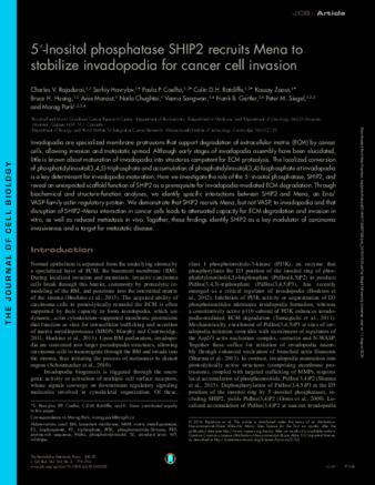 5′-Inositol phosphatase SHIP2 recruits Mena to stabilize invadopodia for cancer cell invasion thumbnail